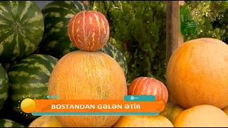 Bostandan Gələn Ətir - Şamama