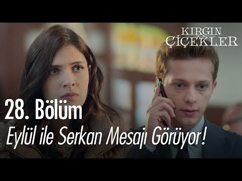 Eylül ile Serkan mesajı görüyor! - Kırgın Çiçekler 28. Bölüm