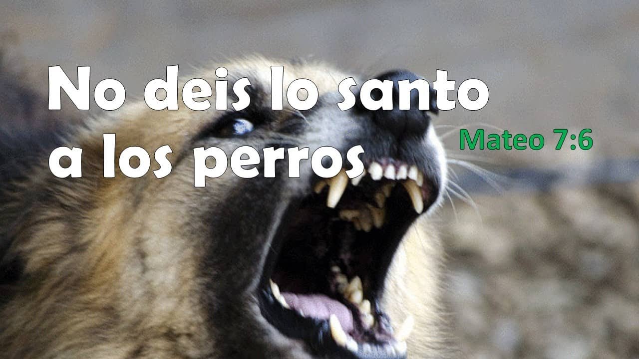 No deis lo santo a los perros - Mateo 7:6 - YouTube