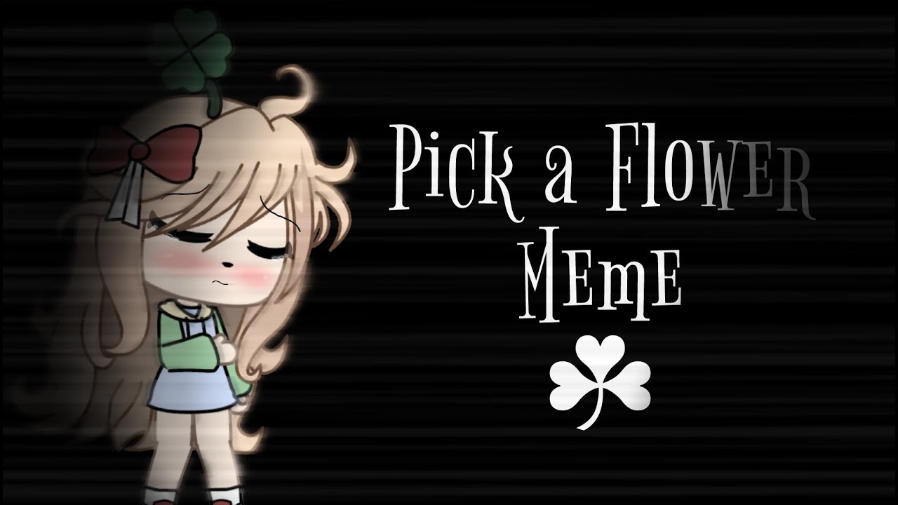 Pick a Flower Meme•° Gacha Life Türkçe Lazywiee GLGMF YouTube