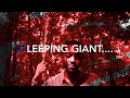 Zeeq  zzzleeping giant promo 2020