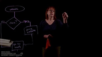 Chapter 3: Decision Structures & Boolean Logic - PRG105