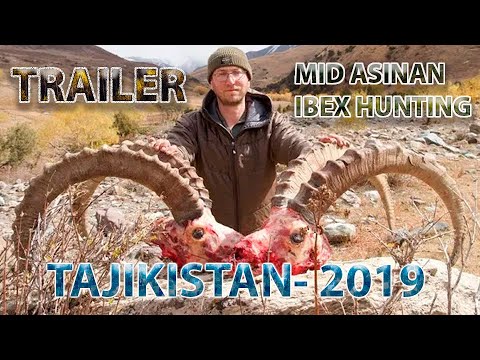 Mid Asian Ibex hunting in Tajikistan 2019