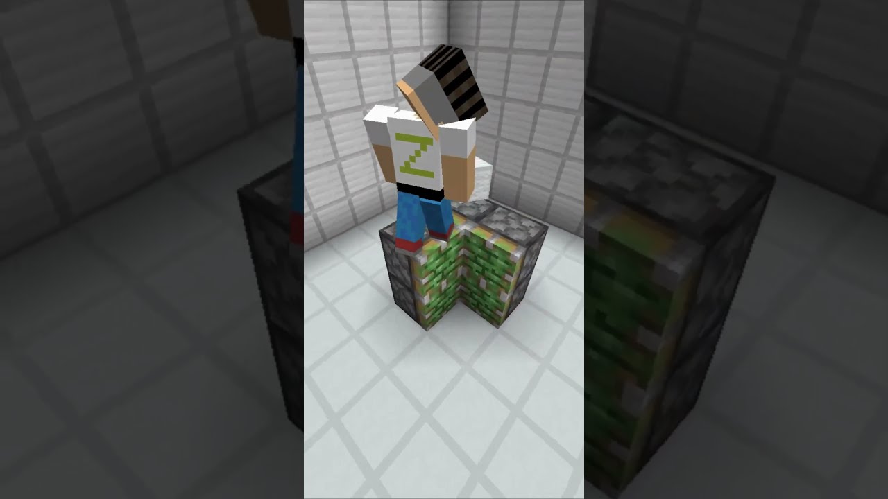 Hidden Redstone Door In Minecraft ZarProMc Simple Build