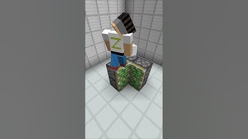 Hidden Redstone Door in Minecraft! #ZarProMc #minecraft #simple #redstone #build