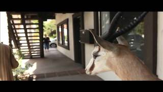 A day in the life of Artist Chuck Testa!