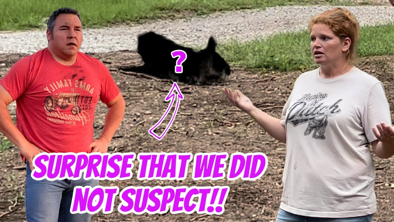 We Got A Big Surprise Here On The Farm. I Was Shocked!! - YouTube
