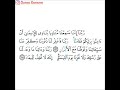 القارئ ماهر المعيقلي سورة آل عمران من الآية 193 إلى الآية 194 