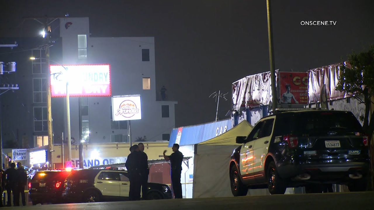 Pedestrian Killed By Hit and Run Vehicle in South LA - YouTube
