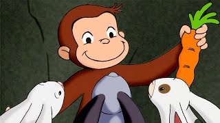 ジョージ、うさぎたちを助ける! 