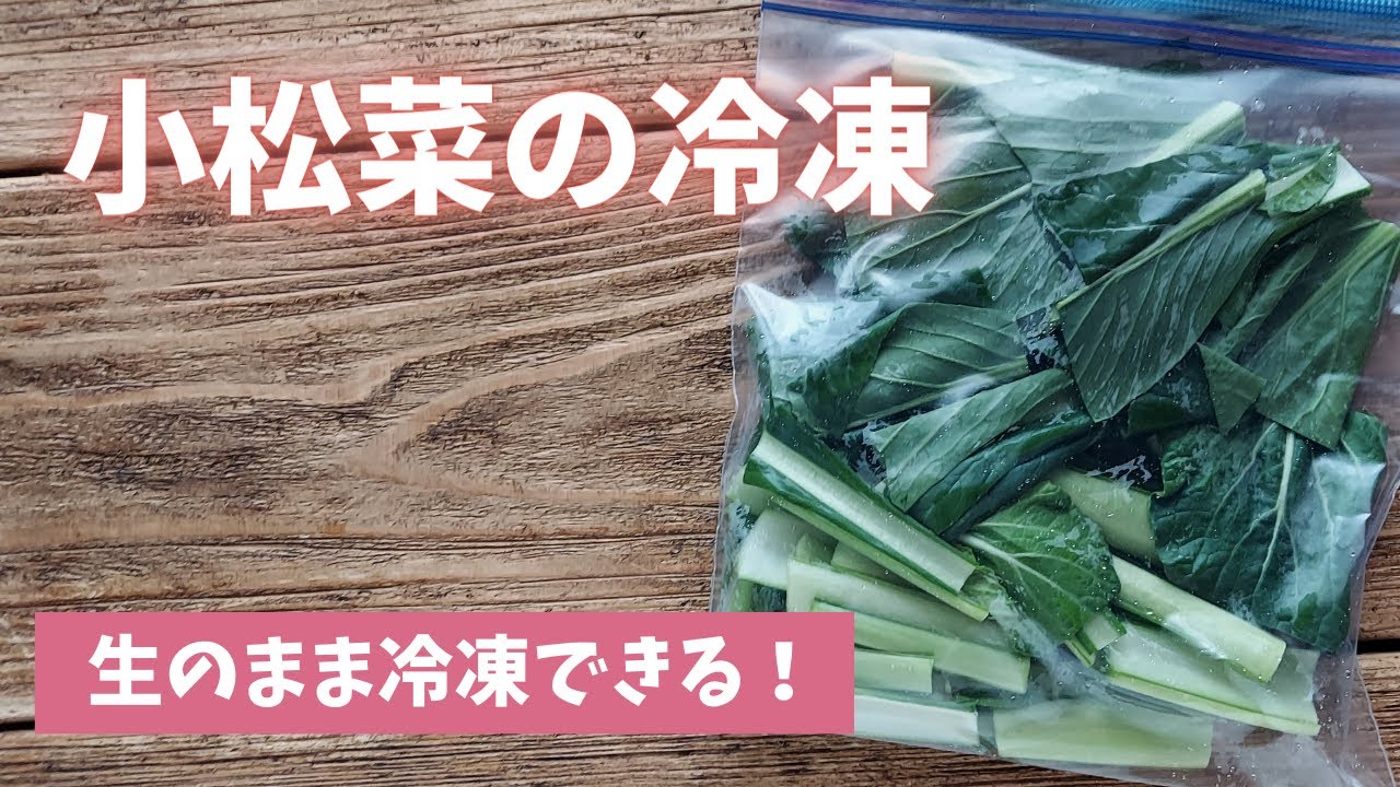 【小松菜の冷凍保存】アクがないので生のまま冷凍が便利！！
