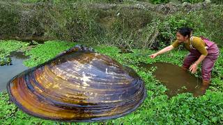 The clam crawled into the shallow water and the day of digging for pearls began again