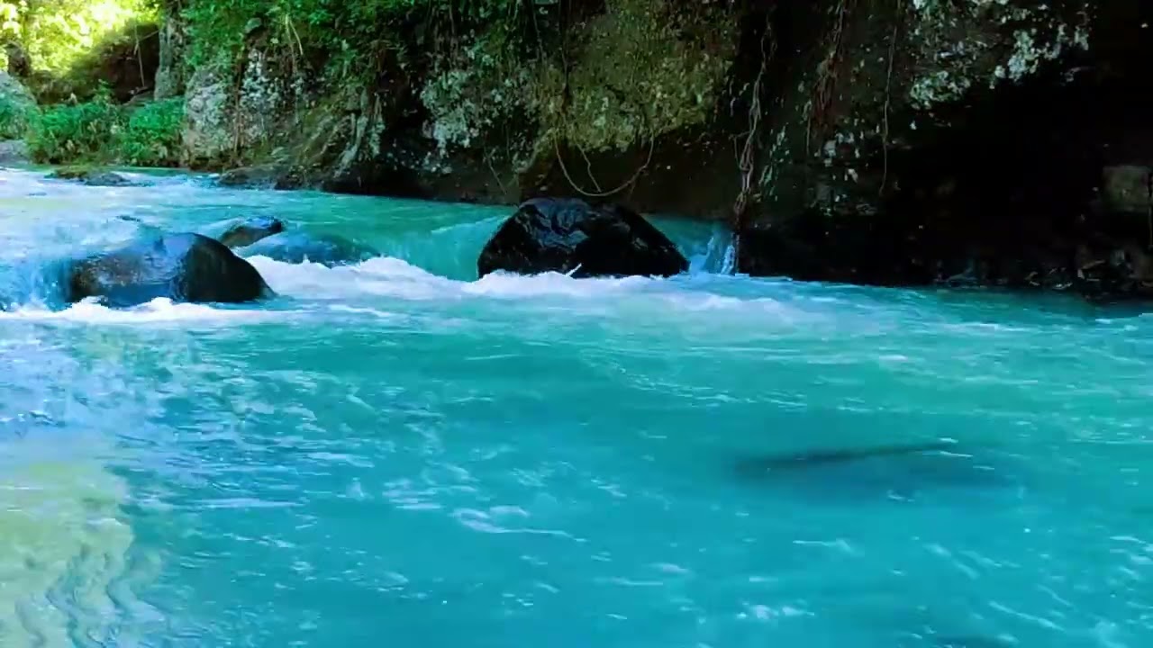 Deep Sleep River Sounds – Gentle Water Flow and Forest Ambience for Restful Sleep - ASMR River