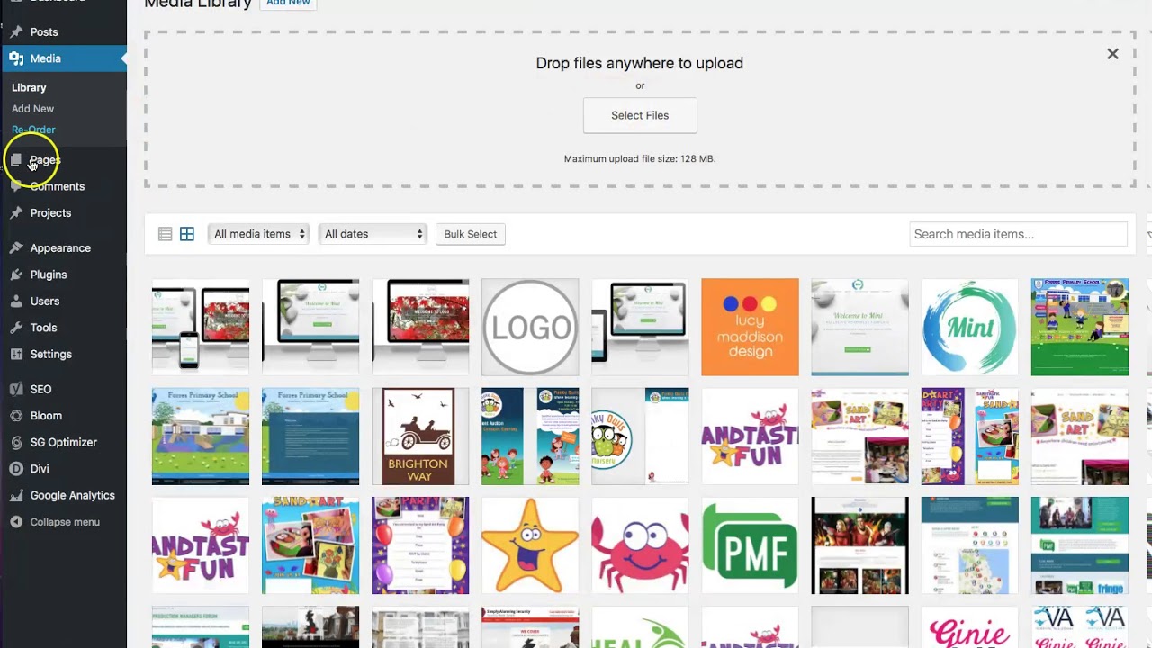 Wordpress Dashboard plus Divi Theme