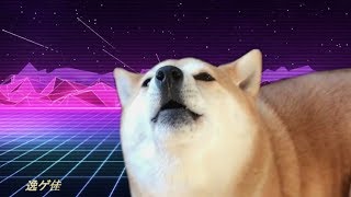 Ｍａｃｉｎｄｏｇｅ　Ｐｌｕｓ