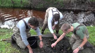 Exploring Research - Ichthyology - Sarah Trimm