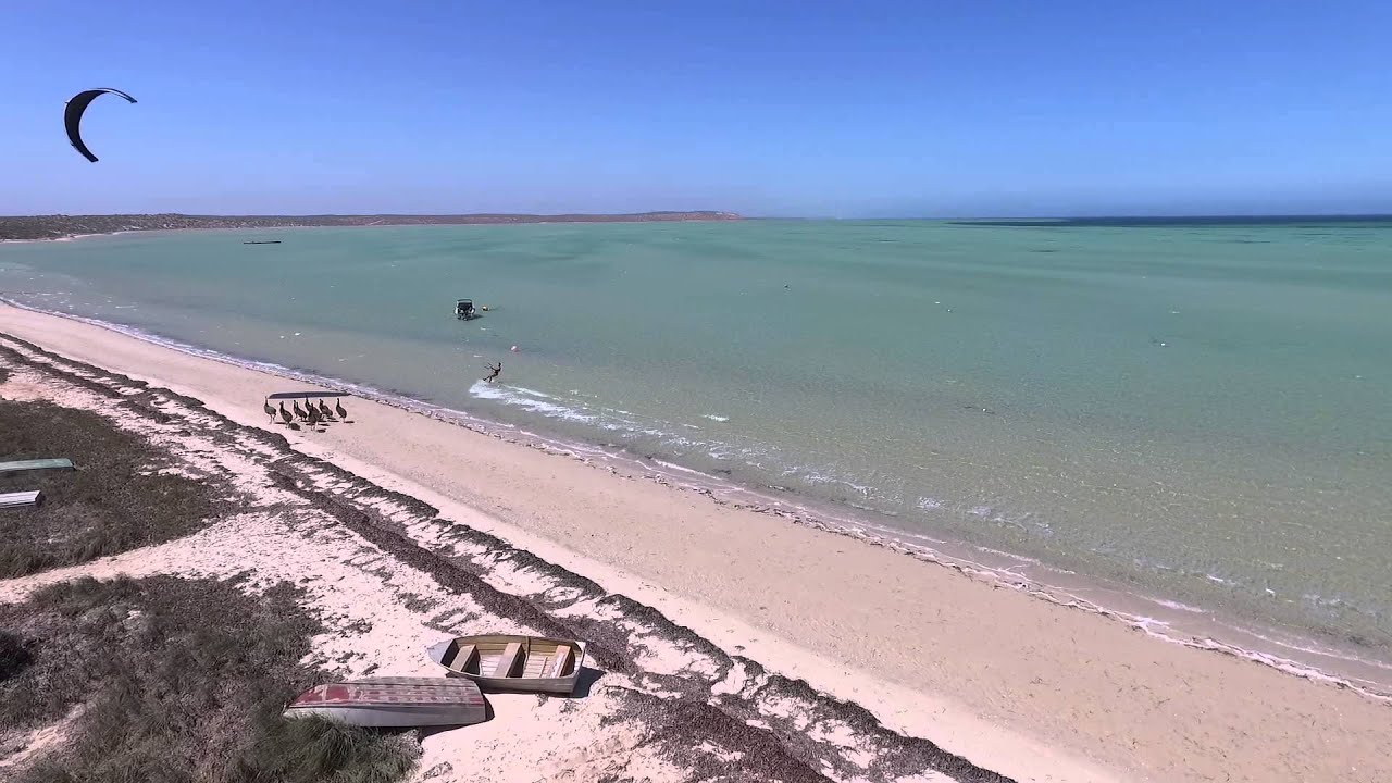 Emu and Kite Surfer Racing