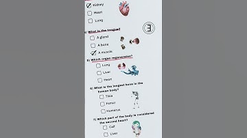 ANATOMIE QUIZ: Kun jij 7/7 halen? #anatomie #greysanatomy #quiz #quiztime #trivia #studytonight