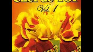 Luminita Ticleanu - Din patul pina-n patul