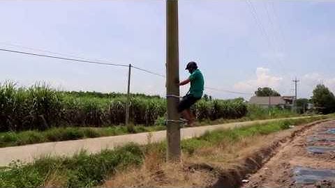 Thiết bị leo cột điện| Cách leo cột điện Mr Hưng 0987199568