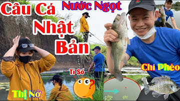 [4K] Khám Phá Câu Cá Ở Hồ Vùng Nông Thôn Nhật Bản - Người Nhật Chỉ Câu Cho Vui  Japanese fishing