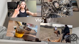 VLOG: мой день на каникулах//доп.уроки, кафе, тренировка✨