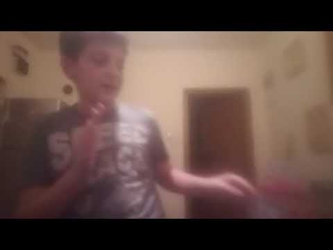 დამწყები