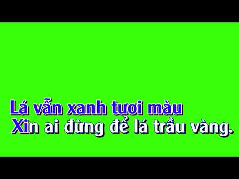 Hoa Cau Vườn Trầu TONE NAM @karaoke Nền Xanh Văn Quốc Beat Chuẩn Chữ To Dễ Hát