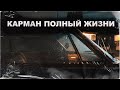 Карман полный жизни | 3 истории на ночь | Черный Рик