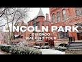 Walking Chicago | Winter Lincoln Park Chicago Mid North Oz Park - Lofi Hip-Hop Chill/Relax