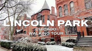 Walking Chicago | Winter Lincoln Park Chicago Mid North Oz Park - Lofi Hip-Hop Chill/Relax