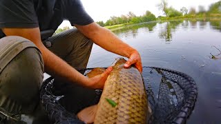 Big Carp Redemption (Summer Carp Fishing)