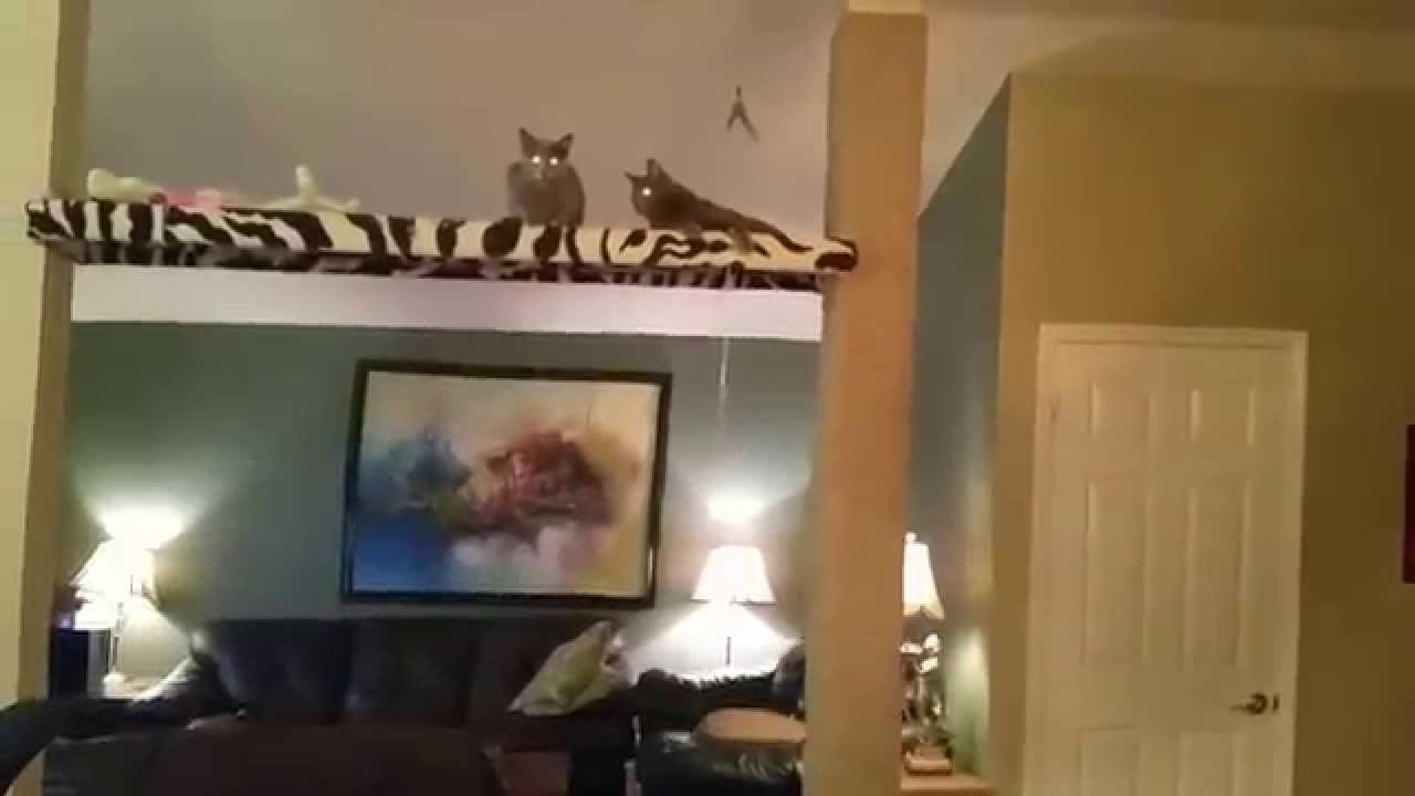 Extraordinary life-sized cat tree donas