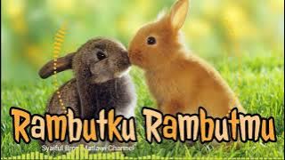 Lagu Kenangan: 'Rambutku Rambutmu'  (D'lloyd)