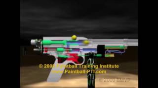 Animated Autococker Video 2