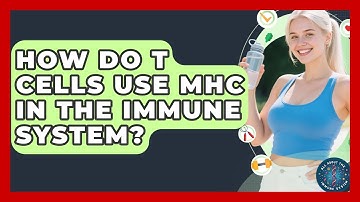 How Do T Cells Use MHC In The Immune System? - All About the Immune System