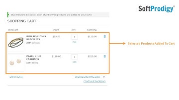 Add Multiple Products To Cart - Extension Demo