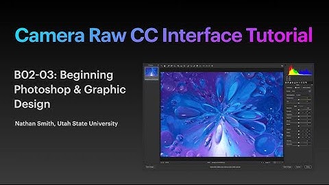 The Camera Raw Interface - An Introduction