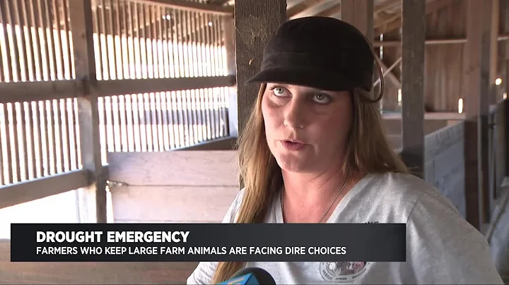 Extended Interview With Flat Broke Farms Director ...
