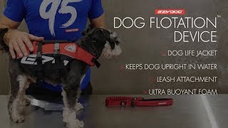 How to fit a Dog Life Jacket - EzyDog DFD
