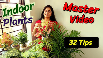 🔴INDOOR PLANTS-COMPLETE CARE GUIDE AND TIPS / GIVEAWAY CONTEST इंडोर प्लांट #indoorplants #gardening