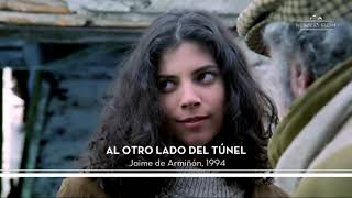 AL OTRO LADO DEL TÚNEL de Jaime de Armiñán