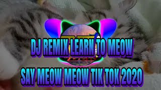 DJ REMIX LEARN TO MEOW - SAY MEOW MEOW TIK TOK 2020