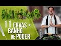 CONHEÇA 11 ERVAS PODEROSAS + BANHO DE ERVAS PARA ATIVAR SEU PODER | DANIEL ATALLA