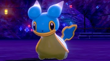 How to Catch SHELLOS (Galar Mine 2) - Pokemon Sword & Shield