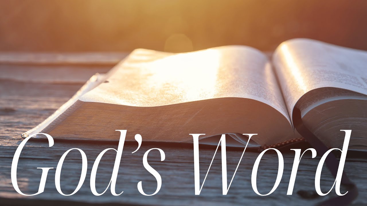 The Entrance of Your Word Give Light