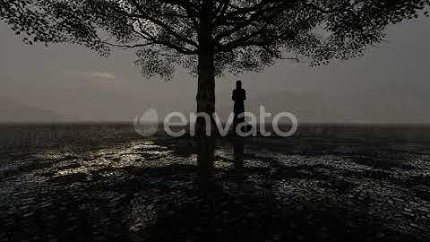 Woman and Cat waiting under the tree in the rain | Motion Graphics - Envato elements