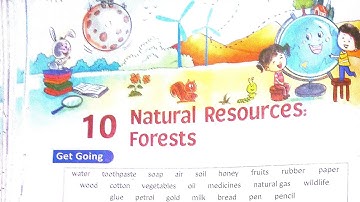 Natural Resources: Forests Class 4 ICSE Chapter 10 Social Studies SST Explore Our World Explanation
