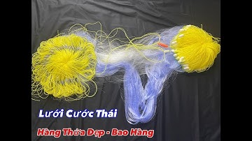 Lưới Cước Thái / Hàng Thửa / Thắt Dây Pô/ Cao 1,2m x 100m 6cm - Buồm Vàng / Đẹp Như Video .