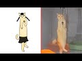 Cat memes funniest animals 2023  drawing meme funny cats and dogs  cat memes